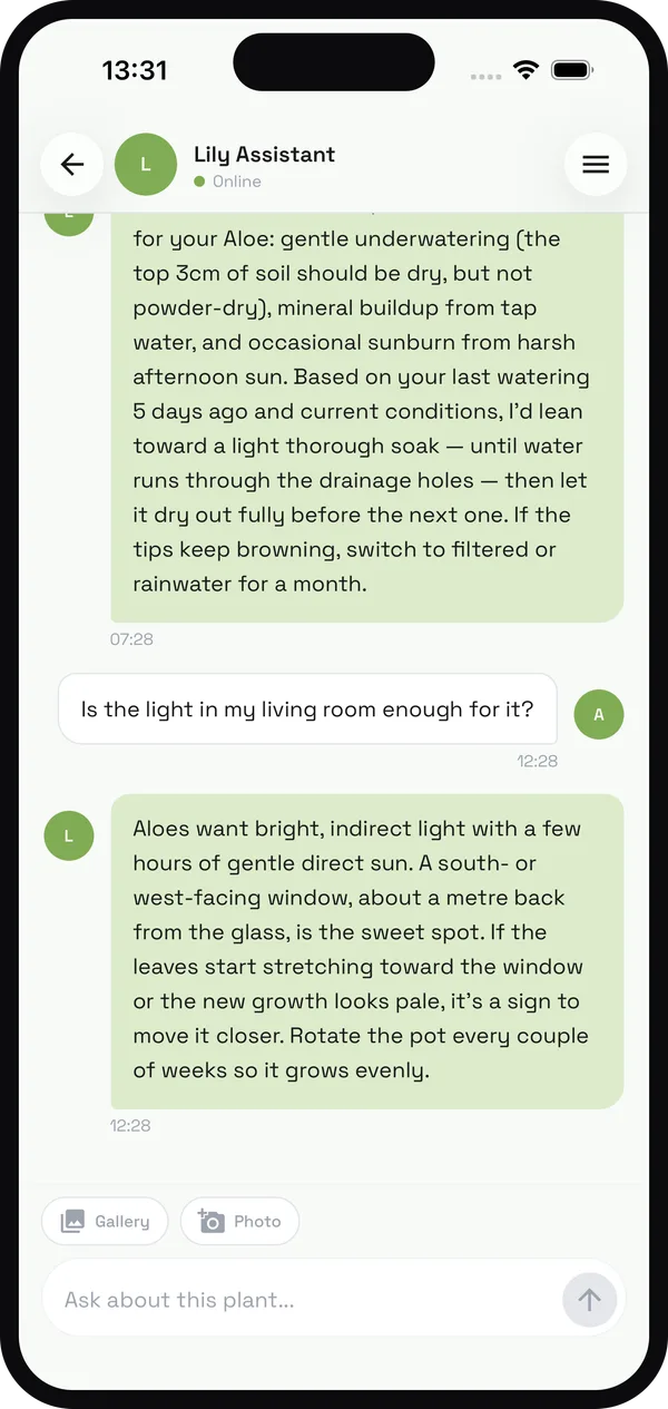 Ask anything, get expert answers